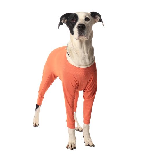 Luna & Milo CopperBody 4-Legs #13