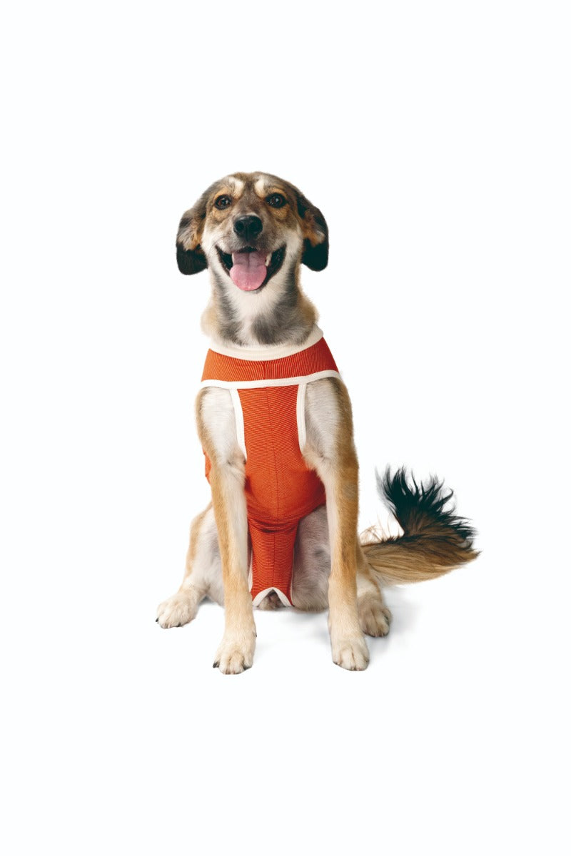 Luna & Milo CopperBody Classic #4