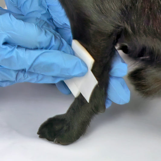 RavimusVet Wondverband (5 x 5 cm) 5 stuks