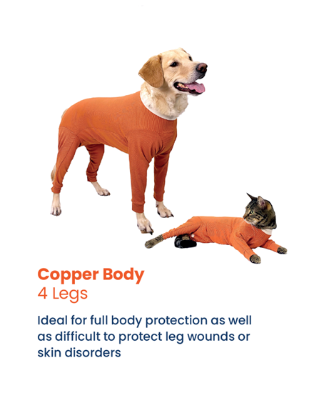 Luna & Milo CopperBody 4-Legs #2
