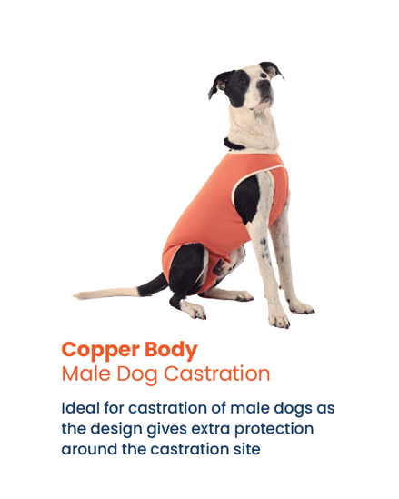 Luna & Milo CopperBody Castration #8