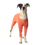 Luna & Milo CopperBody 4-Legs #0