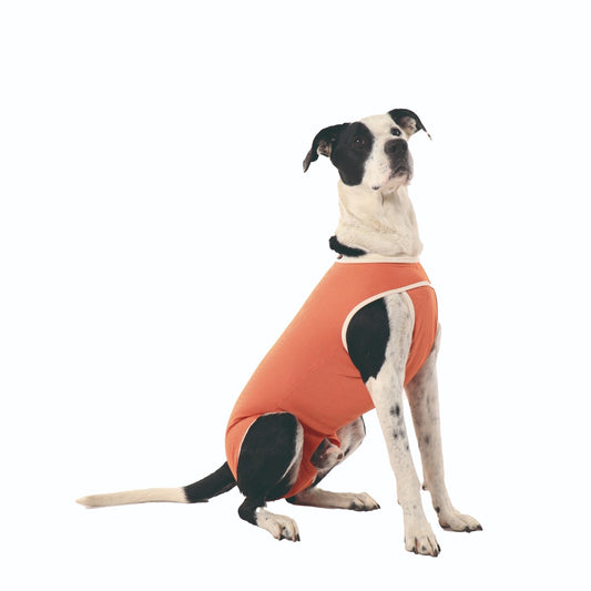 Luna & Milo CopperBody Castration #2