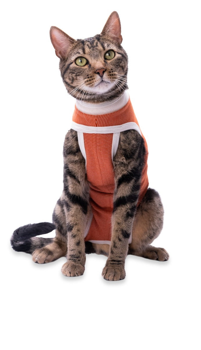 Luna & Milo CopperBody Classic Cat #00
