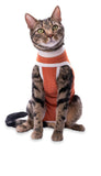 Luna & Milo CopperBody Classic Cat #1
