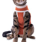 Luna & Milo CopperBody Classic Cat #2